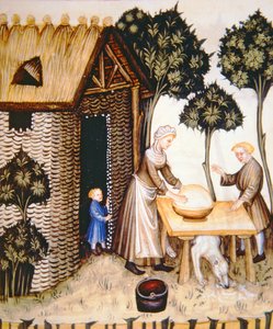 Nova 2644 fol.61r Bereiding van boter, uit Tacuinum Sanitatis door Italian School